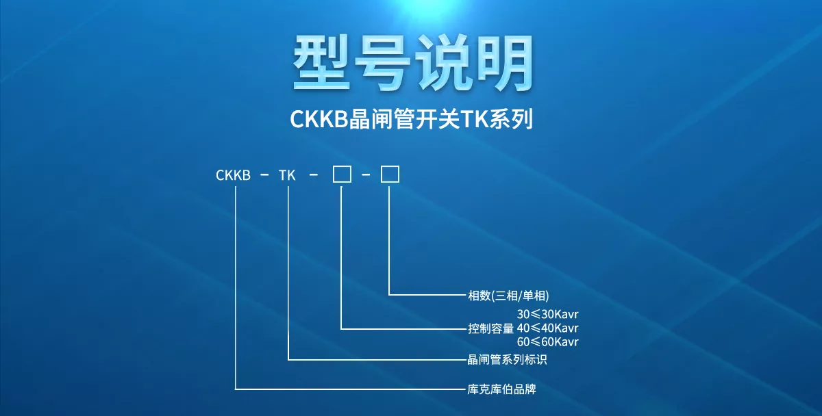 CKKB晶閘管開關(guān)TK系列的型號說明