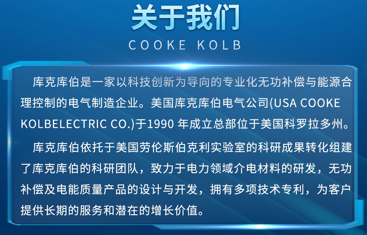 晶闸管投切开关_可控硅整流器_自动投切装置-库克库伯电气(上海)有限